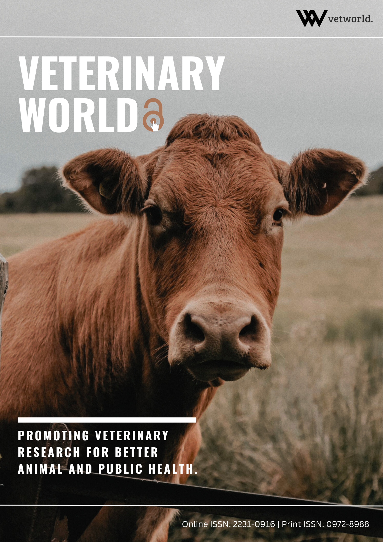 Issue Cover