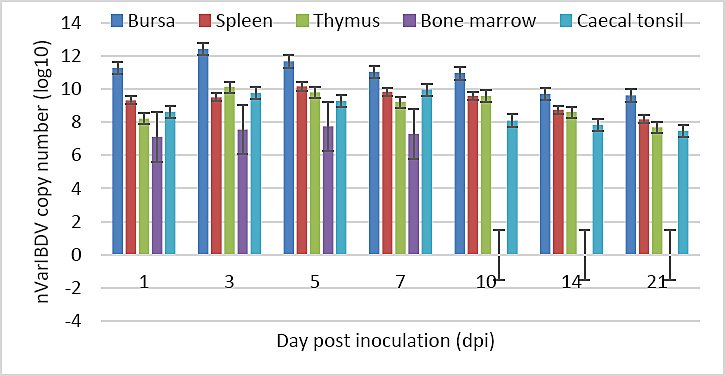 Figure 11