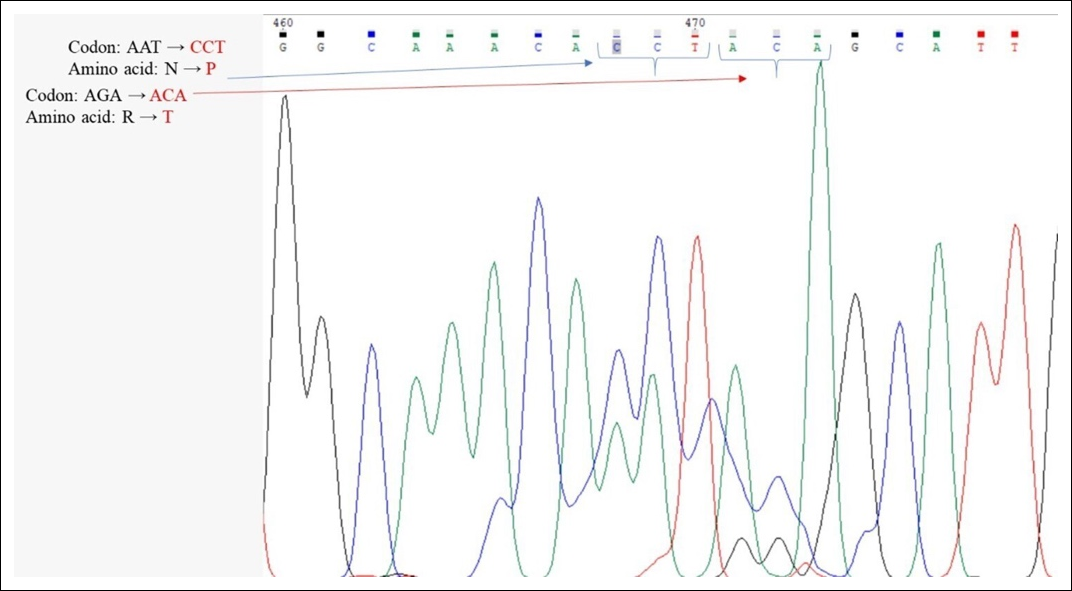 Figure 9